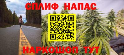 сатива Бузулук