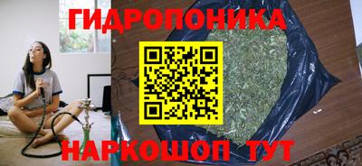 сатива Бузулук